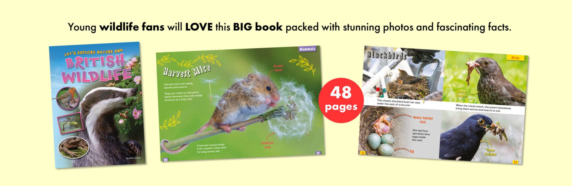 New British Wildlife book!